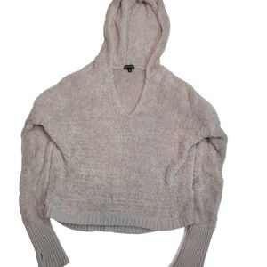 Express Light Gray V-Neck Sweater
